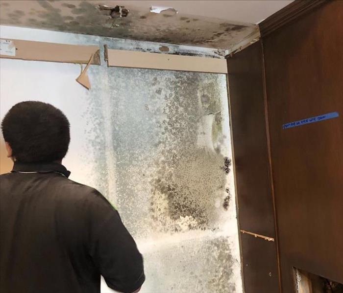SERVPRO worker comes across mold
